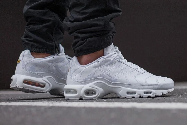 Кросівки Nike AIR MAX PLUS білі AJ2029-100