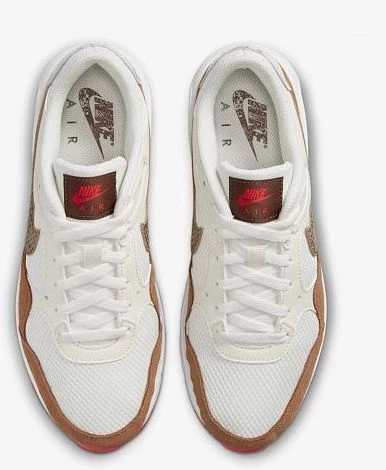 Кросівки жіночі Nike AIR MAX SC SE коричневі DX9501-100