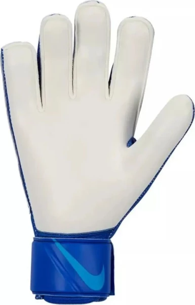 Воротарські рукавички Nike NK GK MATCH - FA20 синьо-білі CQ7799-445