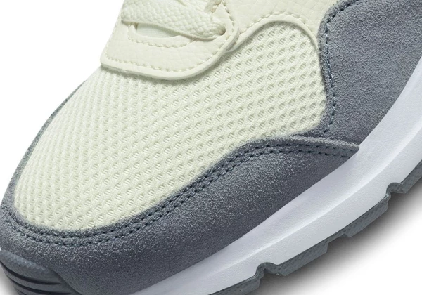 Кросівки жіночі Nike WMNS AIR MAX SC кольорові CW4554-114