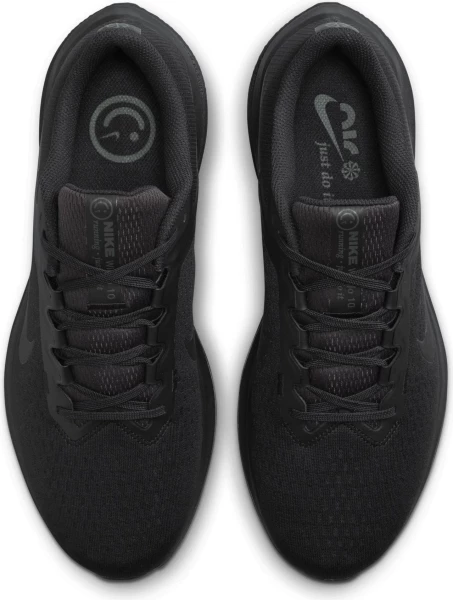 Кросівки бігові Nike AIR WINFLO 10 чорні DV4022-001