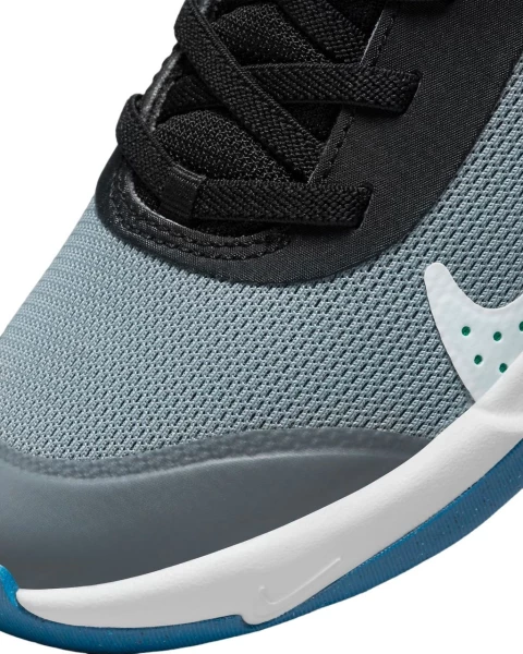 Кросівки дитячі Nike OMNI MULTI-COURT (PS) сіро-чорні DM9026-006