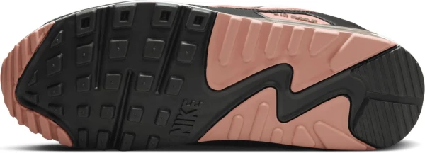 Кросівки Nike AIR MAX 90 різнокольорові DM0029-105
