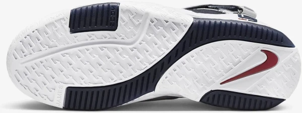 Кросівки баскетбольні Nike ZOOM LEBRON II біло-темно-сині DR0826-100