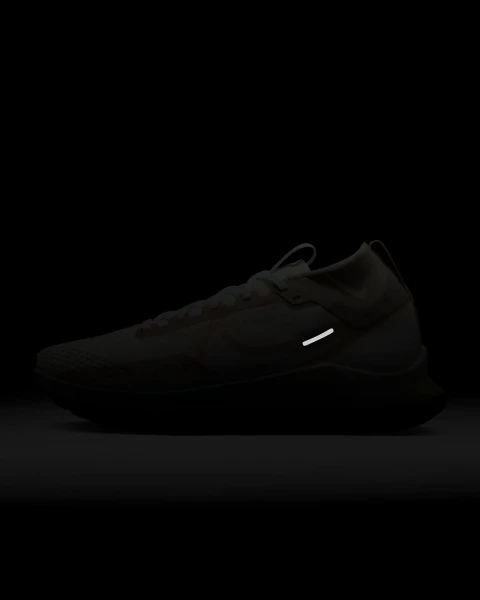 Кросівки для трейлраннінгу Nike REACT PEGASUS TRAIL 4 GTX бежево-коричневі FN8886-181