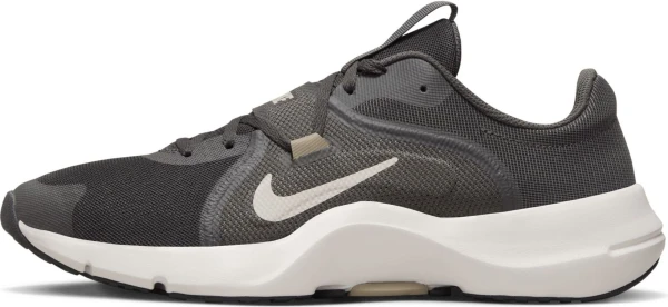 Кросівки для тренувань Nike IN-SEASON TR 13 сірі DZ9360-200