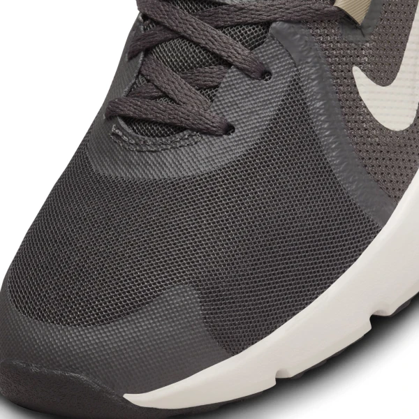 Кросівки для тренувань Nike IN-SEASON TR 13 сірі DZ9360-200