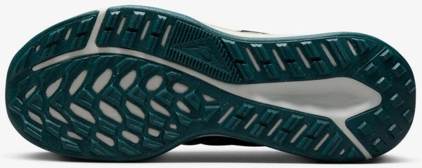Кросівки для трейлраннінгу жіночі Nike JUNIPER TRAIL 2 NN чорні DM0821-003