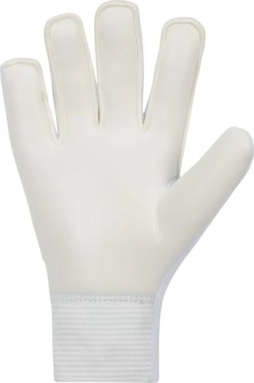 Вратарские перчатки подростковые Nike NK GK MATCH JR - HO23 бежево-серые FJ4864-100