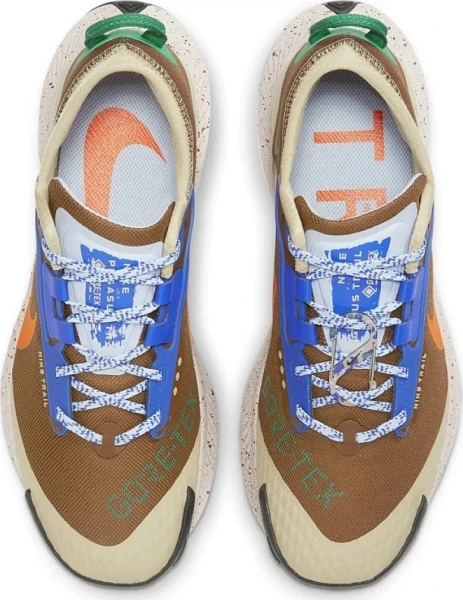Кросівки для трейлраннінгу Nike PEGASUS TRAIL 3 GTX ES коричневі DR0137-200