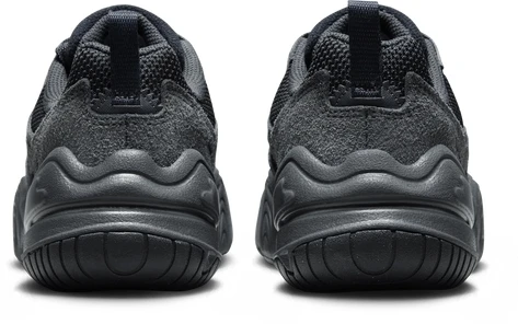Кроссовки женские Nike W NIKE TECH HERA черные DR9761-003