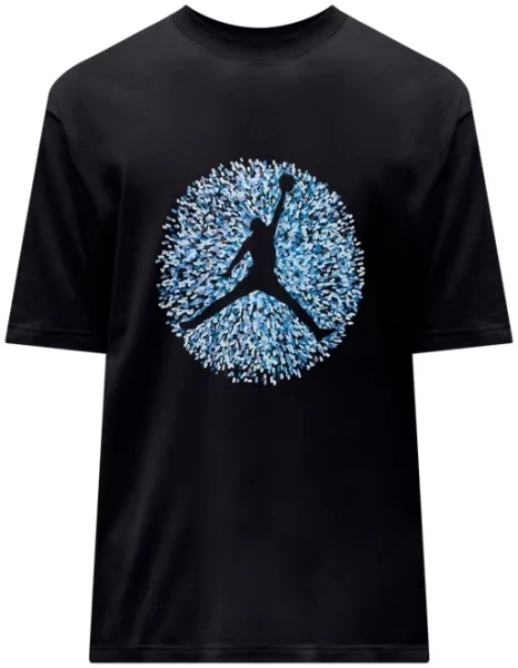 Футболка Nike M J FLT ESS POOL SS CREW черная FN6006-010