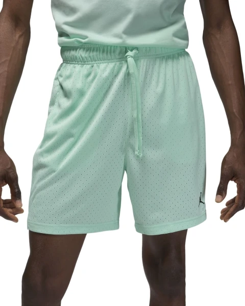 Шорты баскетбольные Nike JORDAN SPORT MEN'S DRI-FIT MESH SHORTS мятные FN5816-353