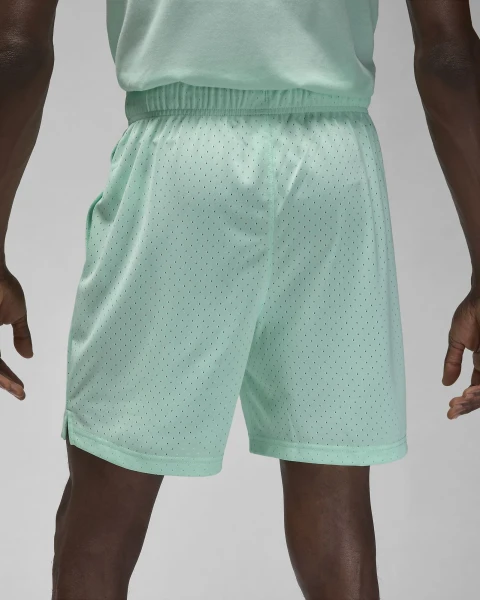 Шорты баскетбольные Nike JORDAN SPORT MEN'S DRI-FIT MESH SHORTS мятные FN5816-353