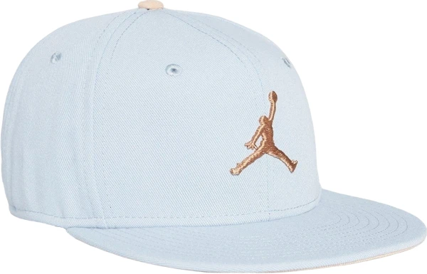 Кепка Nike JORDAN U J PRO CAP S FB FLT MVP голубо-коричневая FV5292-436