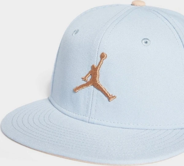 Кепка Nike JORDAN U J PRO CAP S FB FLT MVP голубо-коричневая FV5292-436