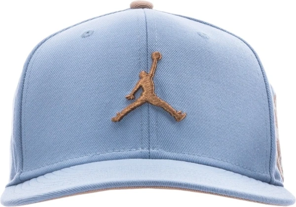 Кепка Nike JORDAN U J PRO CAP S FB FLT MVP голубо-коричневая FV5292-436