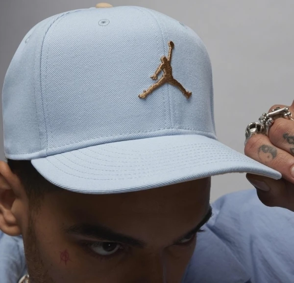 Кепка Nike JORDAN U J PRO CAP S FB FLT MVP голубо-коричневая FV5292-436