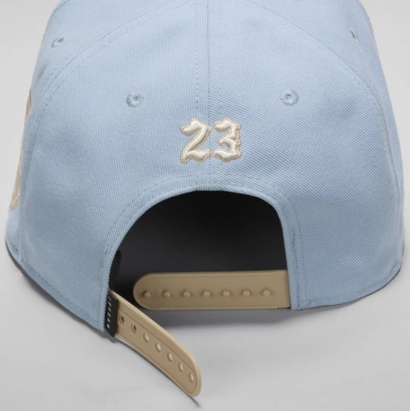 Кепка Nike JORDAN U J PRO CAP S FB FLT MVP голубо-коричневая FV5292-436
