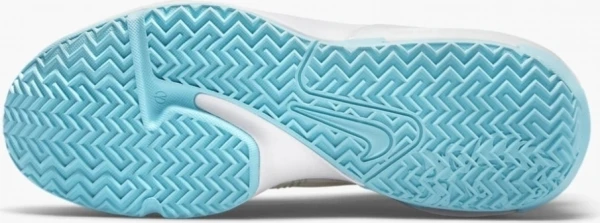 Кросівки баскетбольні Nike LEBRON WITNESS VI блакитно-рожево-жовті CZ4052-103