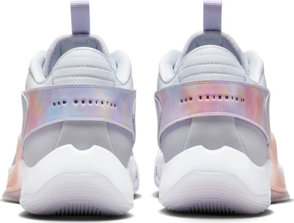 Кроссовки баскетбольные Nike JORDAN LUKA 2 разноцветные DX8733-005