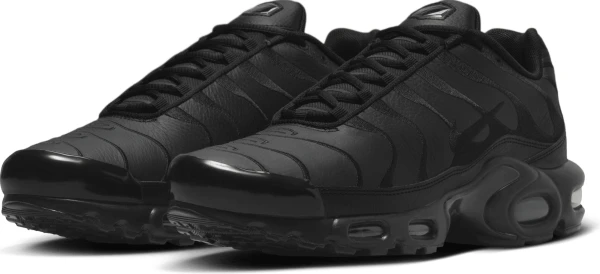 Кроссовки Nike AIR MAX PLUS черные AJ2029-001