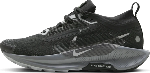 Кросівки для трейлраннінгу жіночі Nike PEGASUS TRAIL 5 GORE-TEX чорно-темно-сірі FQ0912-001