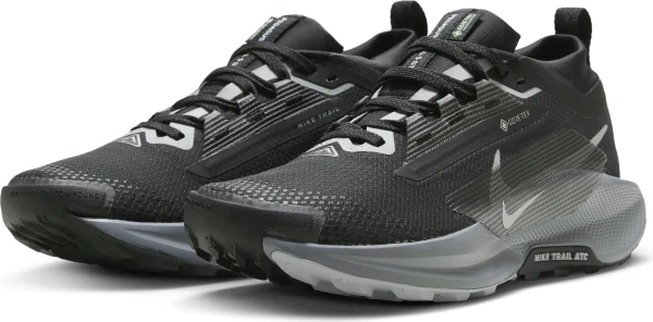 Кросівки для трейлраннінгу жіночі Nike PEGASUS TRAIL 5 GORE-TEX чорно-темно-сірі FQ0912-001