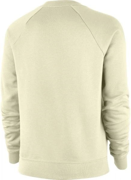 Свитшот женский Nike SPORTSWEAR ESSENTIAL бежевый BV4112-113