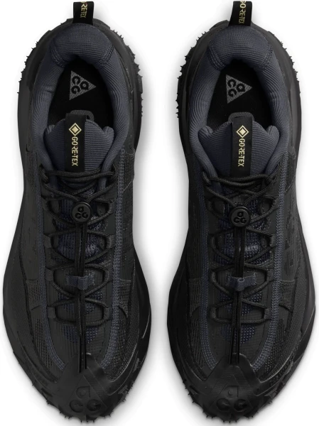 Кросівки Nike ACG MOUNTAIN FLY 2 LOW GORE-TEX чорні HF6245-001