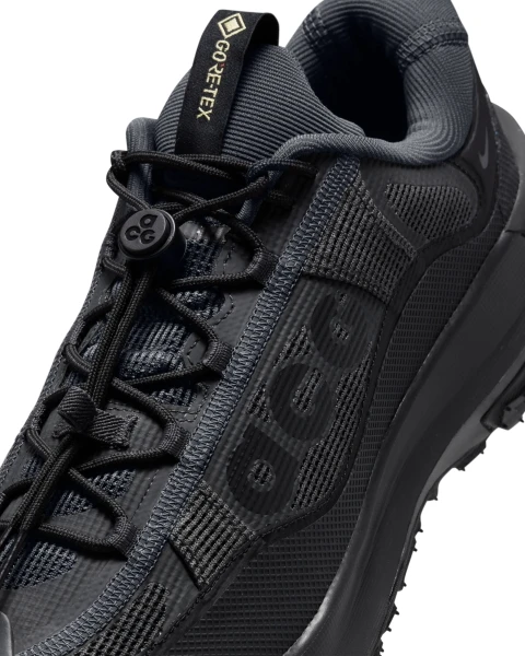 Кросівки Nike ACG MOUNTAIN FLY 2 LOW GORE-TEX чорні HF6245-001