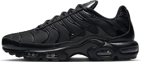 Кроссовки Nike AIR MAX PLUS черные 604133-050
