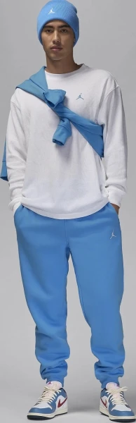 Свитшот Nike JORDAN ESSENTIALS LIFESTYLE TOP белый FV7456-100