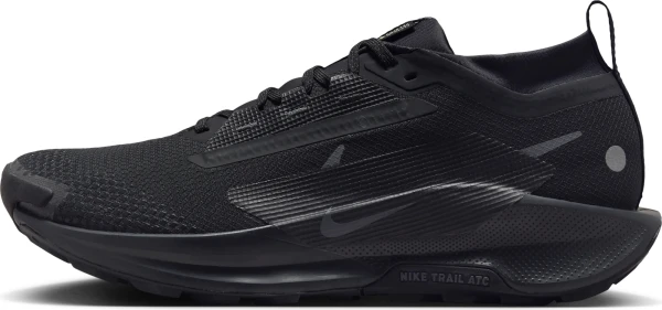 Кросівки для трейлраннінгу Nike PEGASUS TRAIL 5 GORE-TEX чорні FQ0908-002
