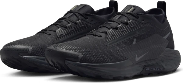 Кросівки для трейлраннінгу Nike PEGASUS TRAIL 5 GORE-TEX чорні FQ0908-002