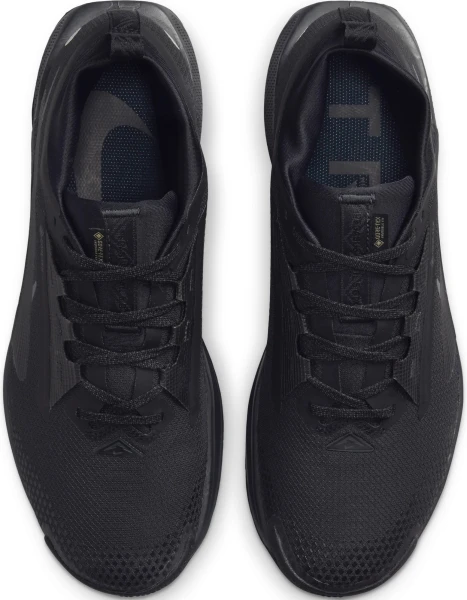 Кросівки для трейлраннінгу Nike PEGASUS TRAIL 5 GORE-TEX чорні FQ0908-002