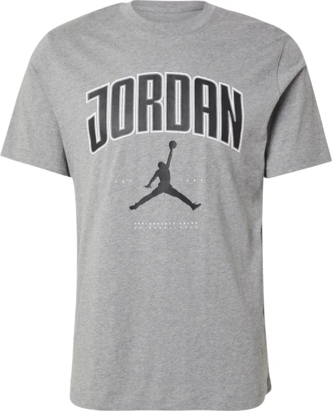 Футболка Nike JORDAN CITY 88 SS CREW серая HQ0009-091