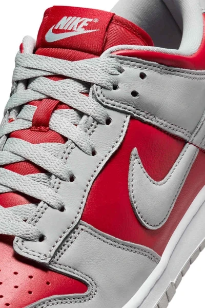 Кроссовки Nike DUNK LOW красно-серые FQ6965-600
