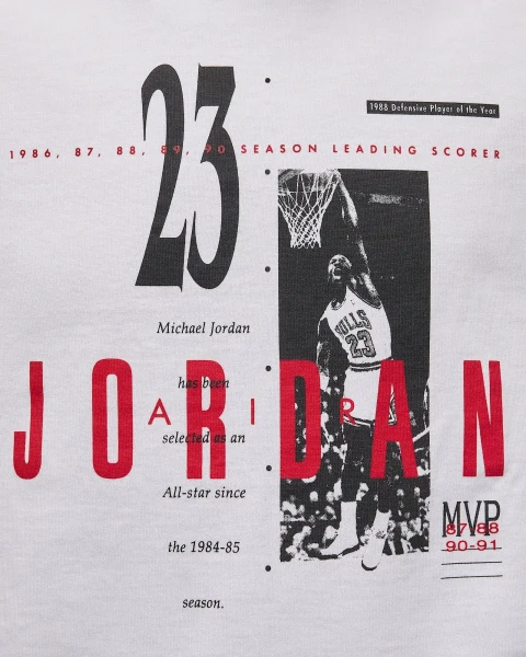 Футболка Nike JORDAN REISSUE GX SS CREW белая HJ2356-100