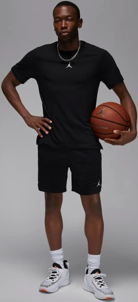Шорти баскетбольні Nike JORDAN SPORT MEN'S DRI-FIT MESH SHORTS чорні FN5816-010