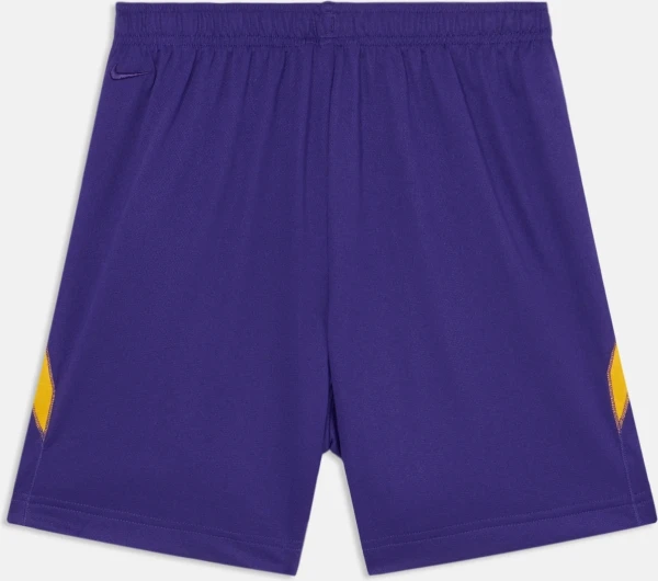 Шорти баскетбольні Nike KOBE DRI-FIT 6IN BASKETBALL SHORTS фіолетові HJ8103-547