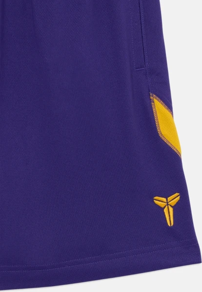 Шорти баскетбольні Nike KOBE DRI-FIT 6IN BASKETBALL SHORTS фіолетові HJ8103-547
