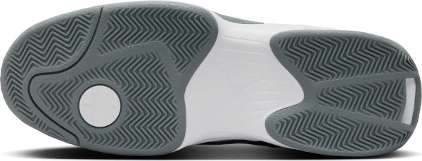 Кросівки Nike JORDAN MAX AURA 6 сірі FQ8298-002