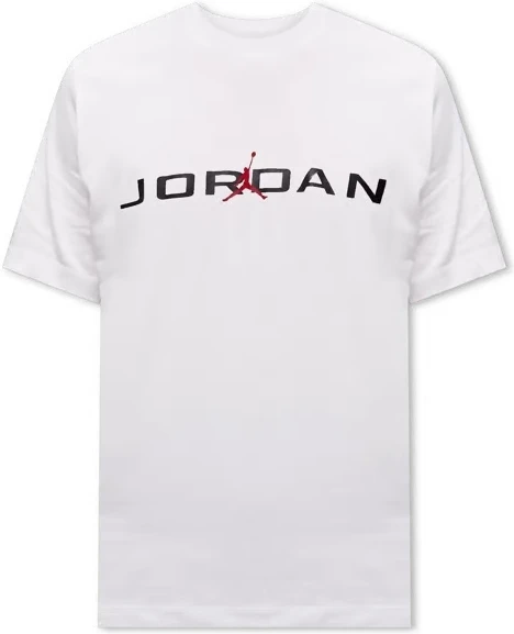 Футболка Nike JORDAN AIR біла IB7353-101