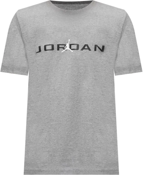 Футболка Nike JORDAN AIR серая IB7353-091