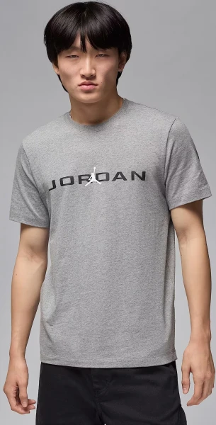 Футболка Nike JORDAN AIR серая IB7353-091