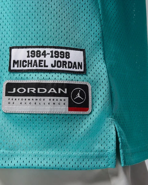 Майка Nike JORDAN ESSENTIALS SUMMER JERSEY бірюзова HF9375-392