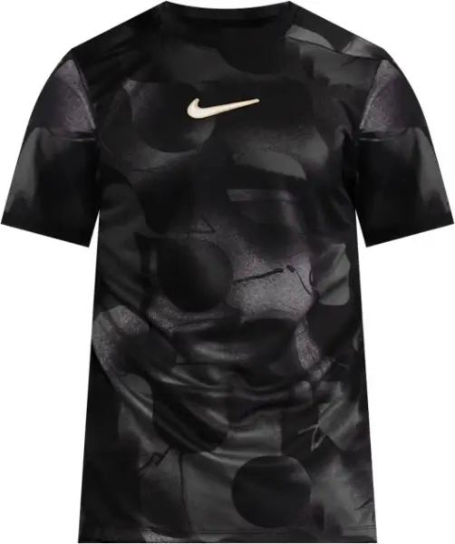 Футболка Nike ACADEMY+ DRI-FIT черно-темно-серая HJ4239-010