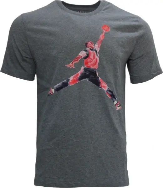 Футболка Nike JORDAN BRAND серая FN5980-091