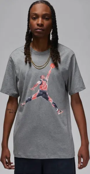 Футболка Nike JORDAN BRAND серая FN5980-091